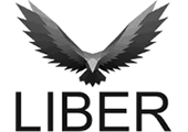 logo БУДГРАН: Виготовлення та Монтаж Виробів з Мармуру та Граніту